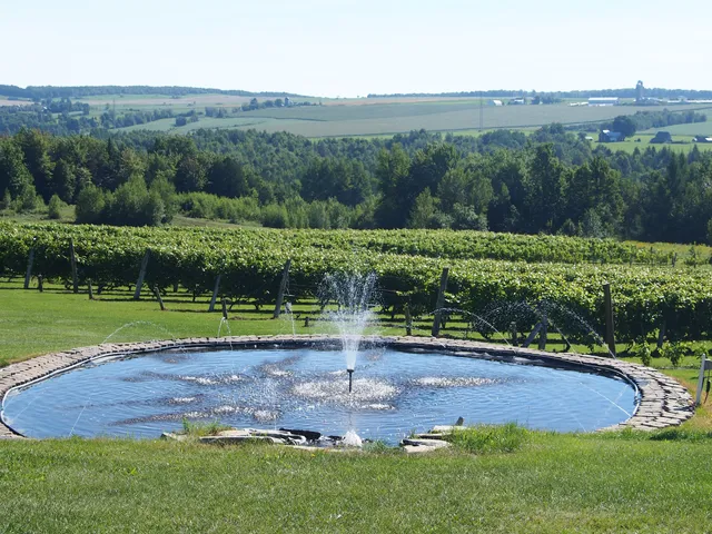 Vignoble Les Côtes Du Gavet