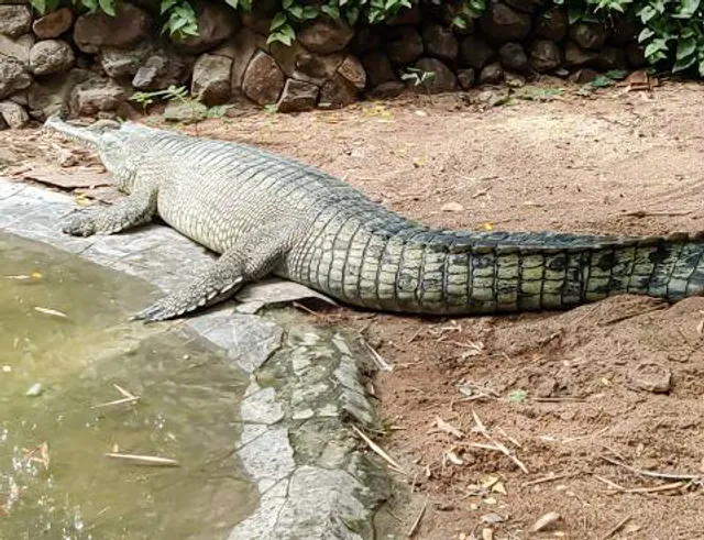Guindy National Park