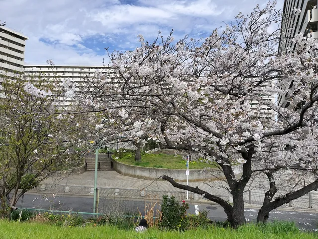 Minamirokugo Park