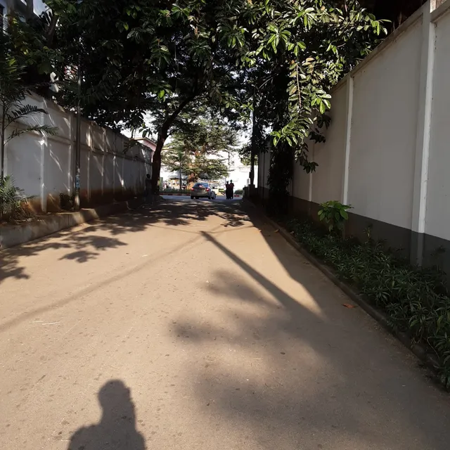 Galerie Cécile Fakhoury