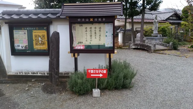 photo-1