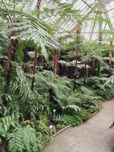 Mittelmeerhaus im Botanischen Garten
