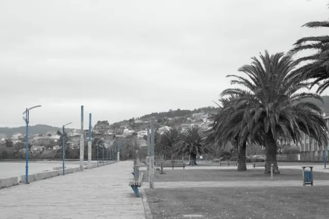 photo-1