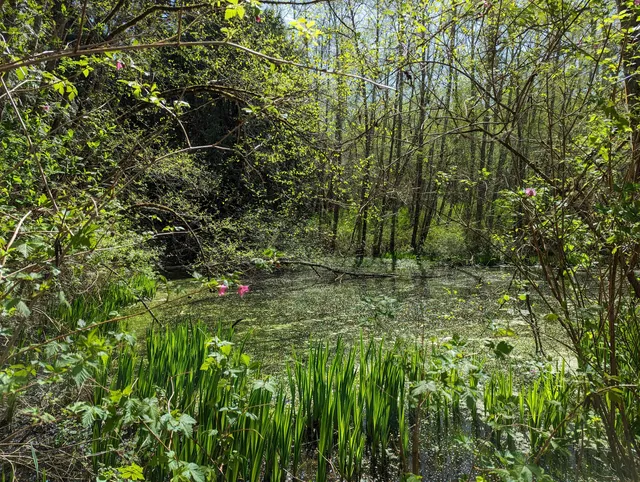 North Kitsap Heritage Park