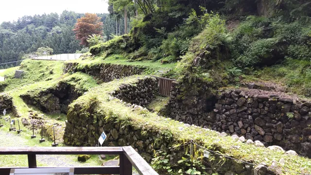 Arafune Cold Storage