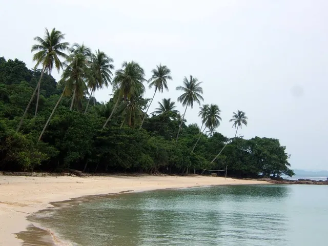 Kapas Island