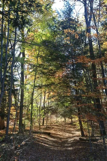 Harrison-Crawford State Forest