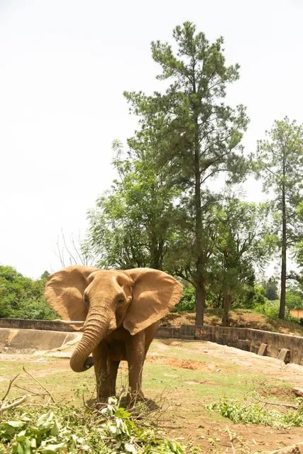 Jos Wildlife Park