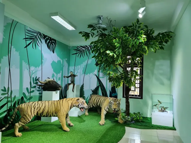 Museum of Nature Coast Central