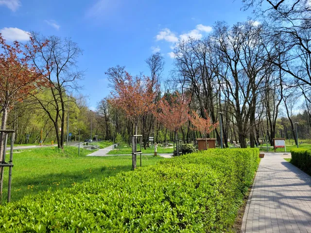 Park Miejski "Podlesie"