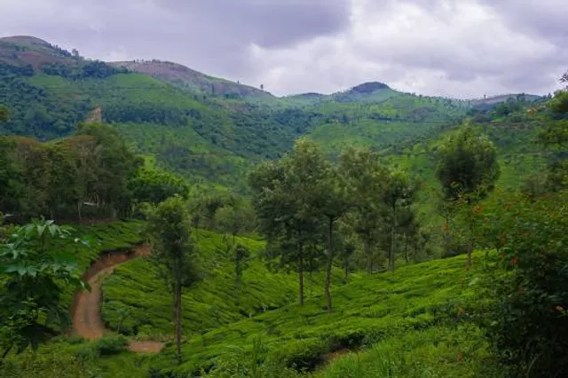 Nanmangalam Reserve Forest