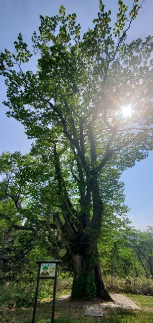 Dōmin no mori Kamuijiri-chiku