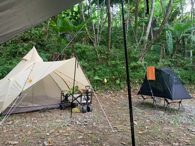 Papan Hill Nature Camp