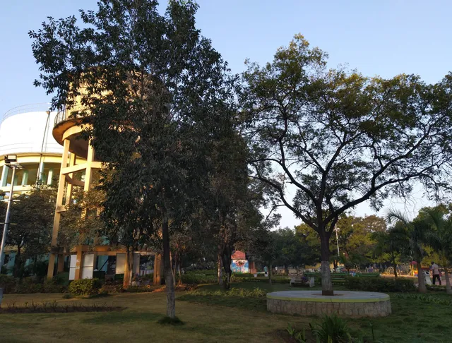 photo-3
