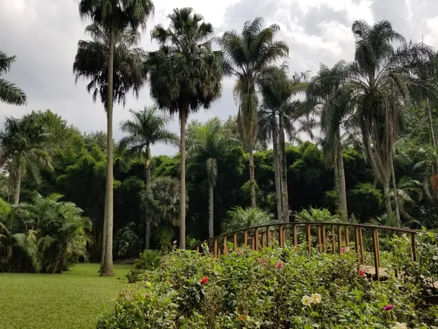 Francisco Javier Clavijero Botanical Garden
