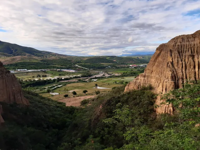 Gotas De Agua - Bosque Seco