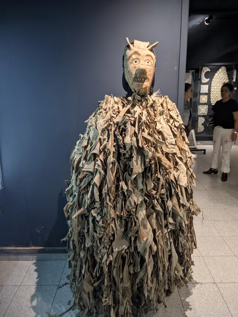 Fundación Migliorisi