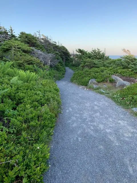 Jettegrytene på Sild