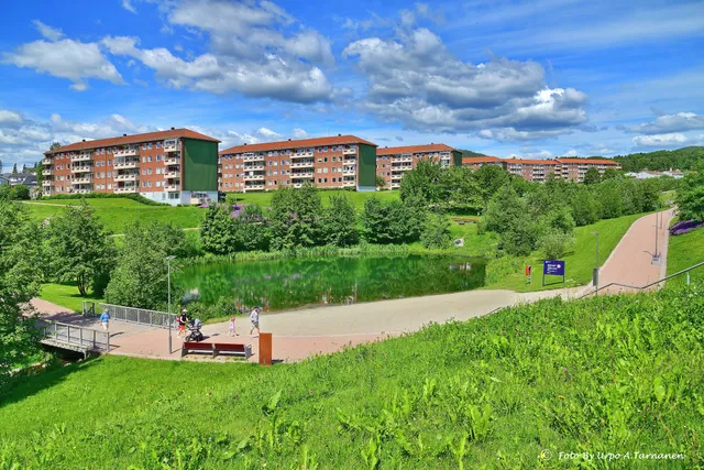 Bjerkedalen park