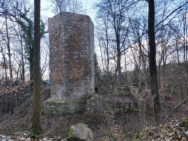 Burgruine Forstenberg