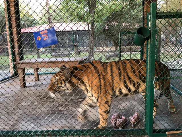 สวนเสือตระการ