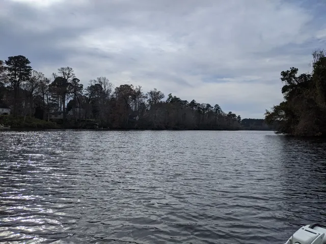 photo-3
