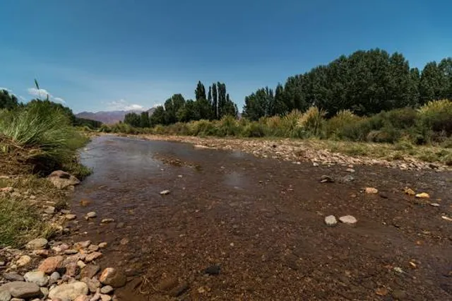 Rheingärten - Neuenburg am Rhein