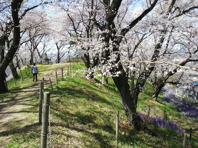 Soja Futagoyama ancient tomb
