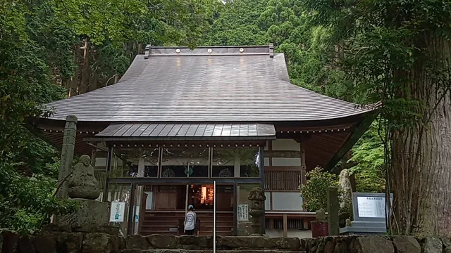 Bodaiji Temple Ginkgo Tree