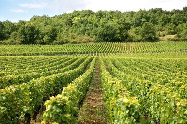 Gerovasileiou Estate