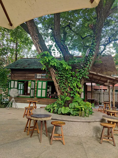 Chocolate Gardens សួនសូកូឡា