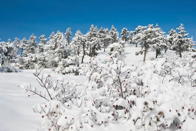 Briar Bush Nature Center