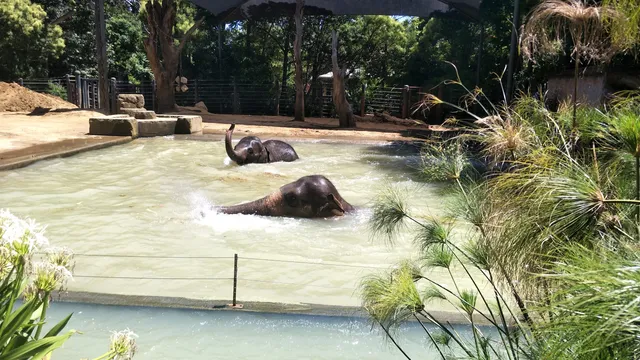 Zoos Victoria Head Office