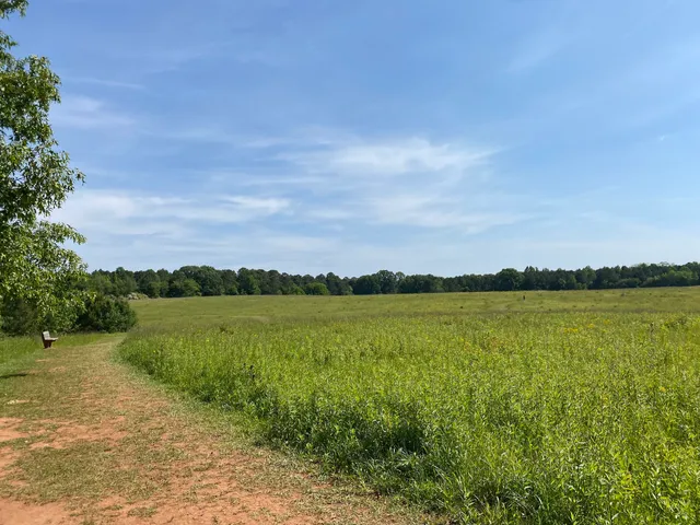 Green Meadows Preserve