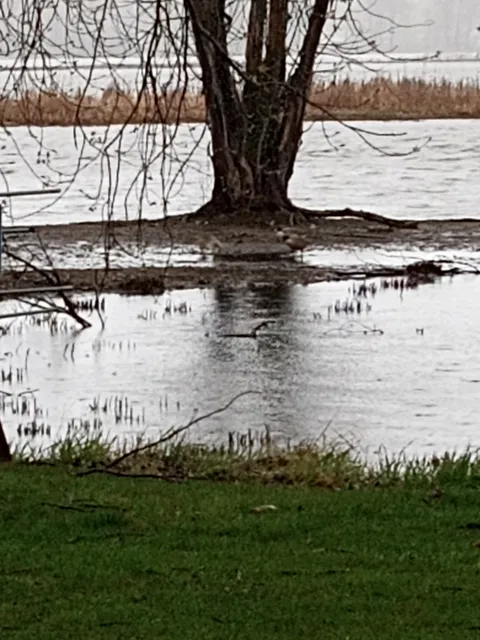 Grand Haven Dog Park
