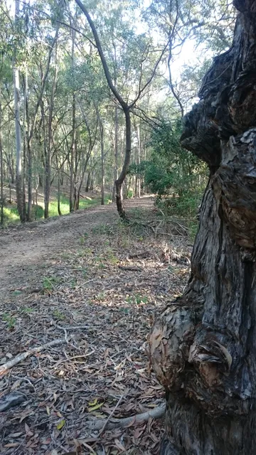 Barolin Nature Reserve