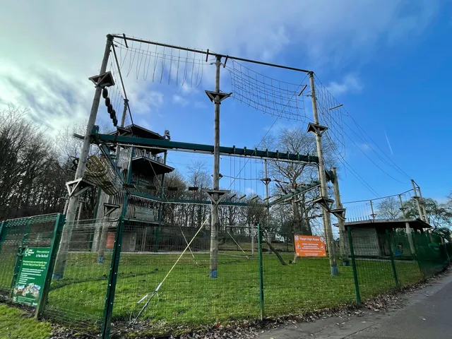 Haigh High Ropes Adventure
