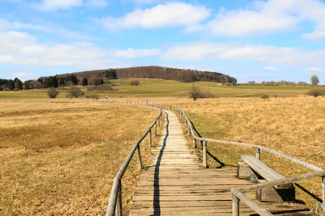 Schopflocher Moor (Torfgrube)