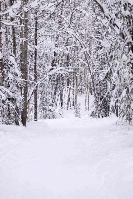 Far North Bicentennial Park