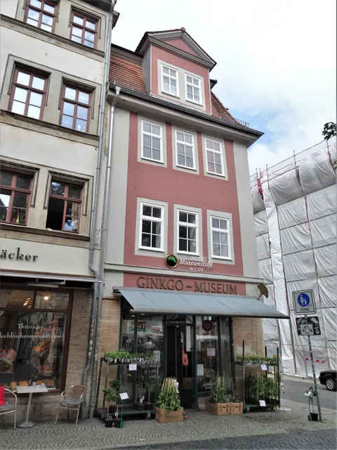 Ginkgo-Museum