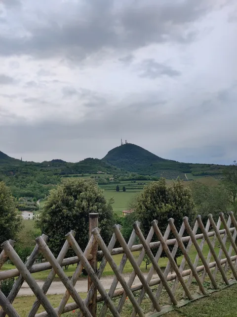 Sentiero n. 8 del Monte Cecilia