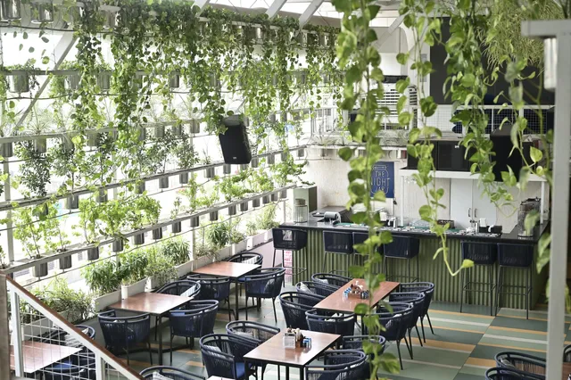 The Night Jar Reloaded