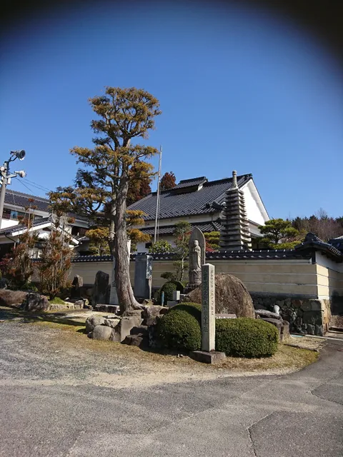 photo-3