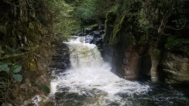 Chapman Falls