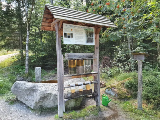 Walderlebnispfad "Am Ochsenkopf"