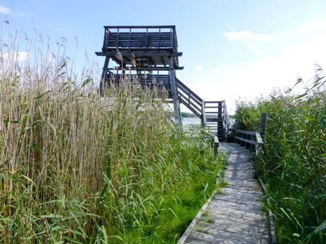 Fysingens naturreservat