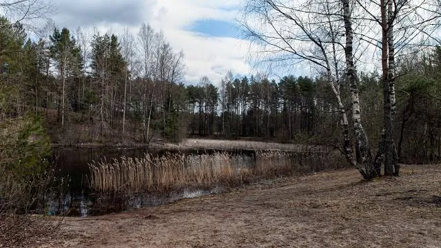 Pääsküla bog trail