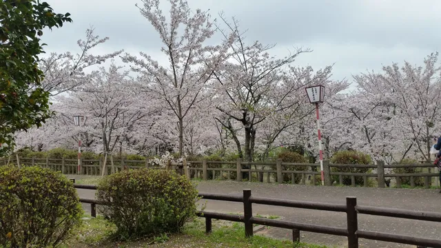 Maruyama Park