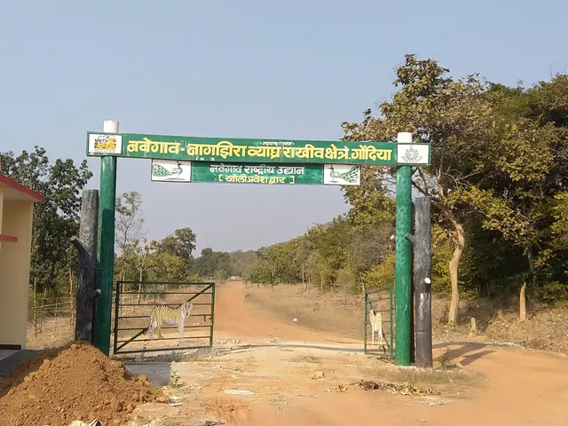 Nawegaon Nagzira Tiger Reserve