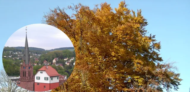 Ferienwohnung Kaktus